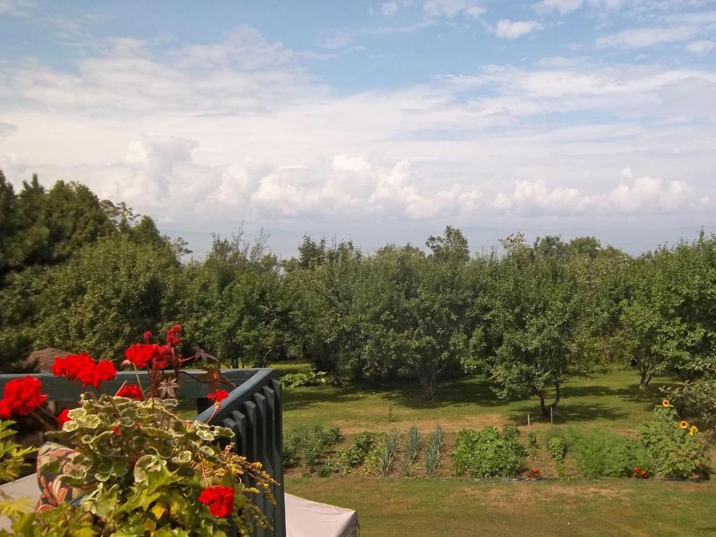 Gite La Halte Du Verger Bed And Breakfast Rivière-du-Loup Buitenkant foto